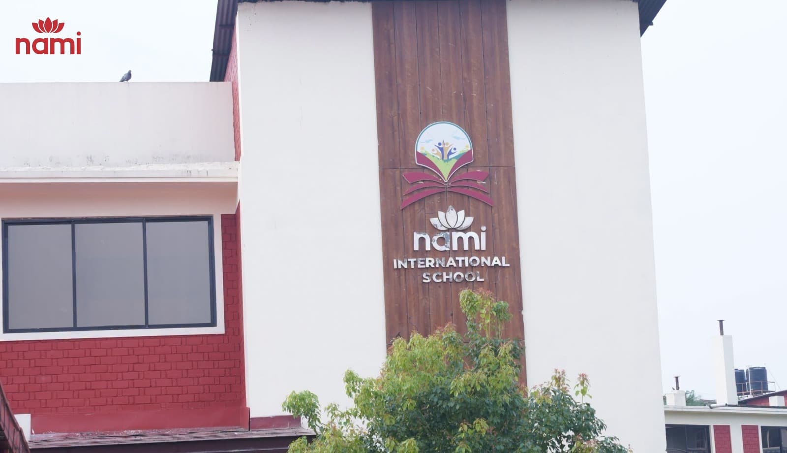 NAMI campus community and student experiences.
